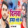 About Dilwa Hamar Todhi Ke Song